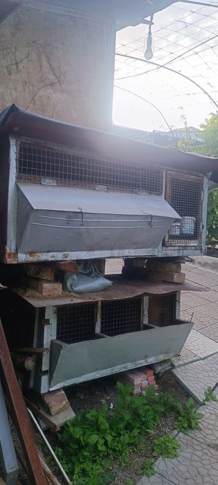 Продам клетки для кролов