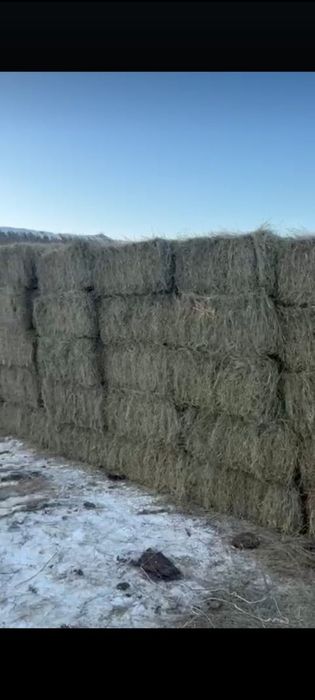 Сено тьюки с доставкой