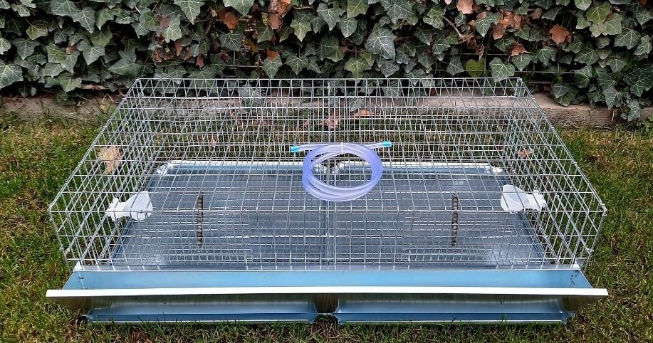 Cusca penru prepelite tineret 3-6 saptamani