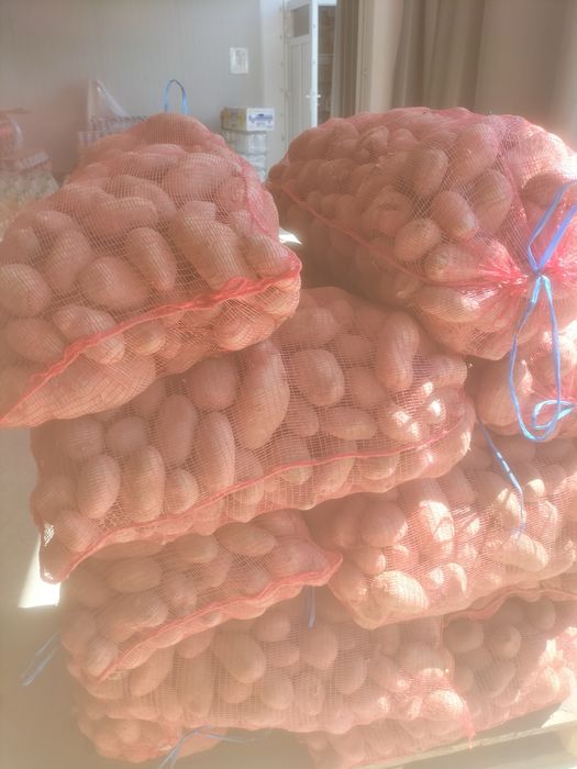 Cartofi de vanzare consum si pentru animale