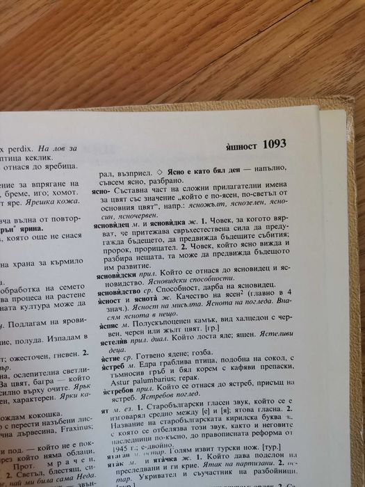 Български тълковен речник 1093 страници