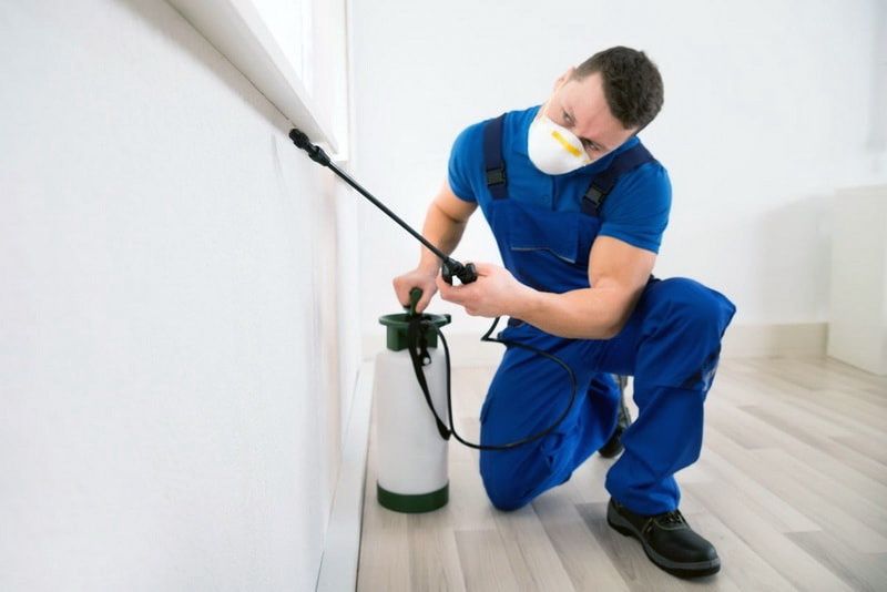 Dezenfeksiya Дезинфекция от Клопов Тараканов Мухи Камари Грызунов 24/7