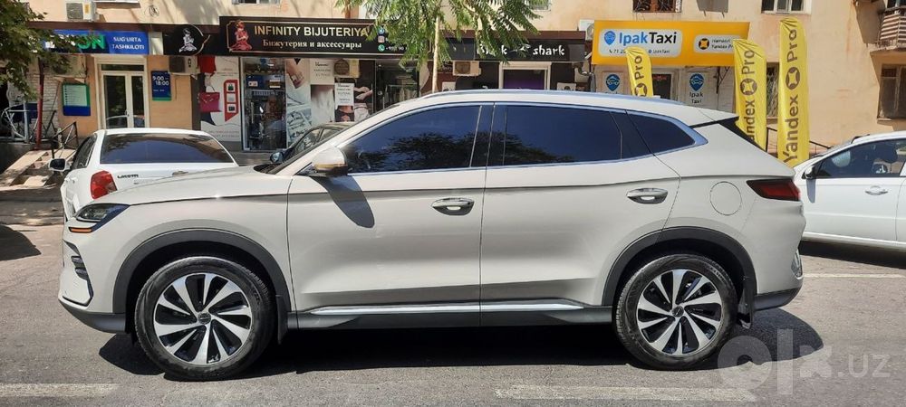 Byd chempion 520
