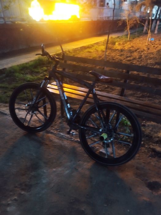 Pellones skorisney velik