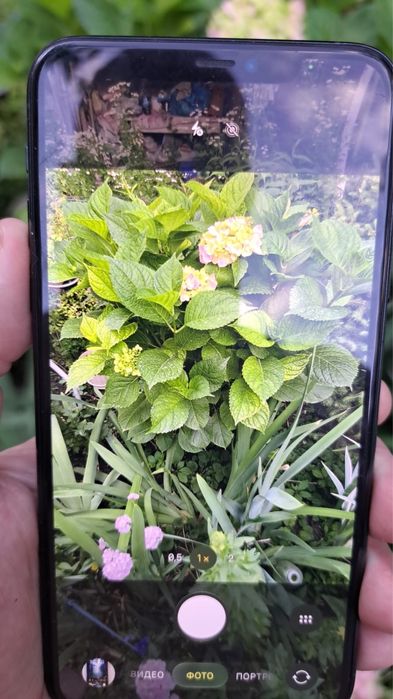 Iphone 11 Pro Max 256gb. Все родное.