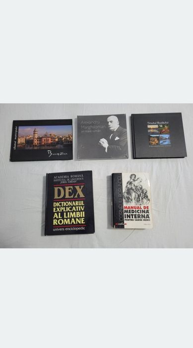 Vand carti Dictionar DEX,Alex Marghiloman,Albumul Buzau,Tinutul Buzau