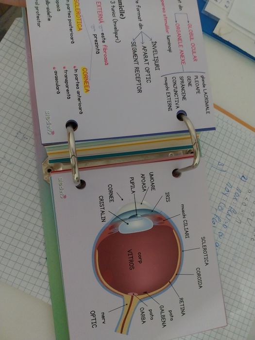 Carte biologie bac 9 10 editura invata de 10