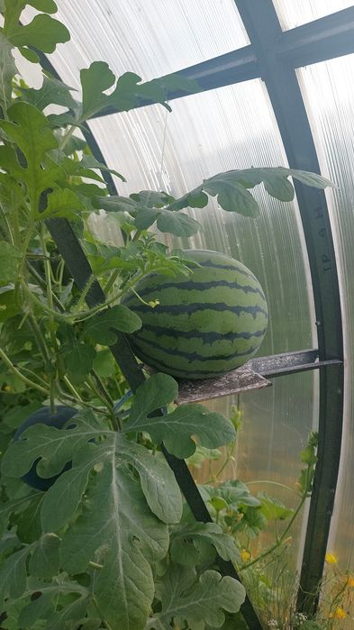 Продам дачу 18 соток