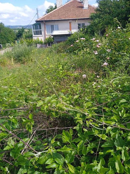 Продава се Парцел в Малко Търново - 269 кв.м за 52 €/кв.м - Снимка #1