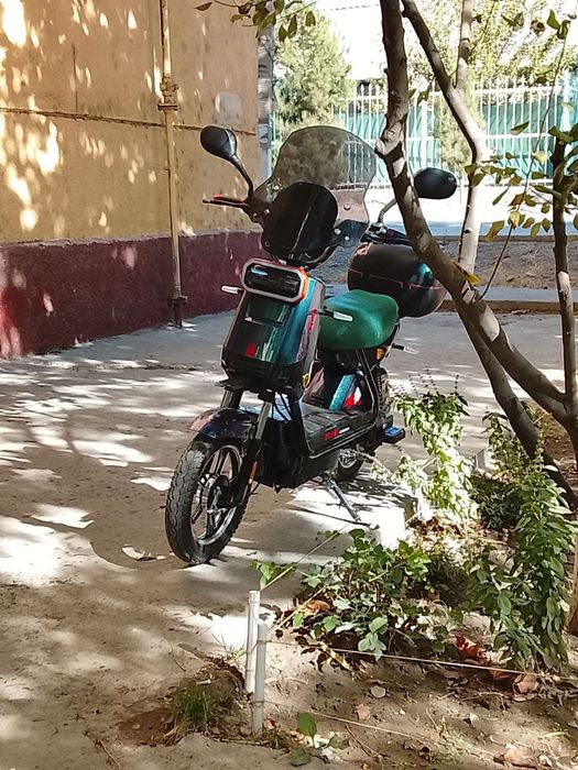 Sukutor holati yahshi yangi