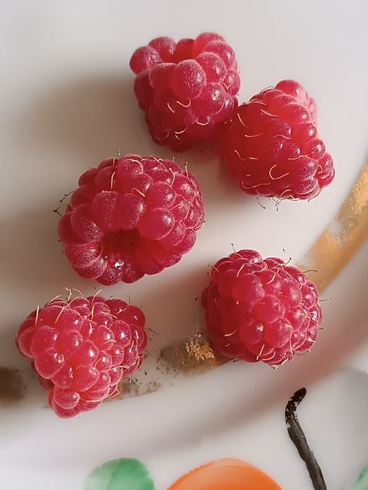 Малина и бананы для дома и дачи