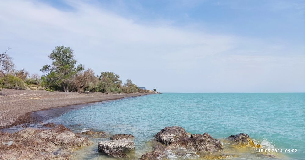 Квартира посут., 3к. 1/5 эт