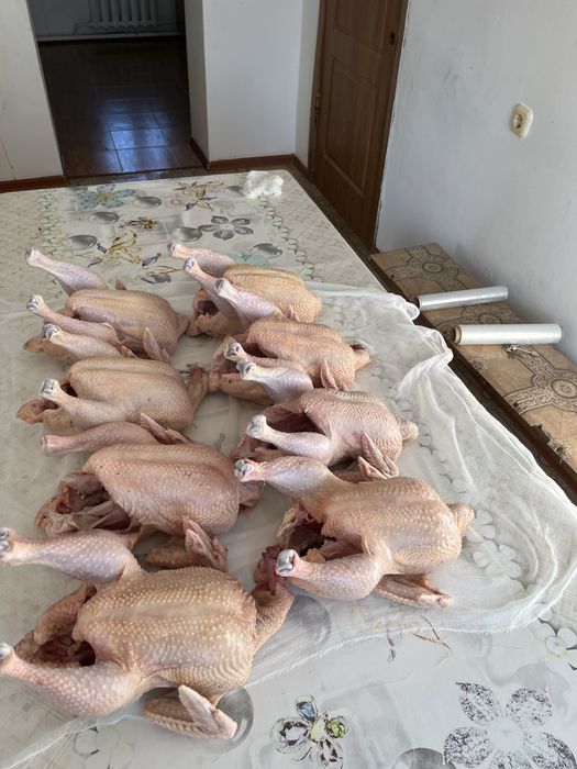 Продам домашних бройлеров