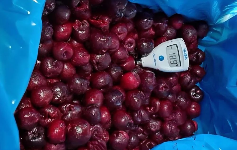 Олчани шок музлатиш -40C / шоковая заморозка вишни -40С