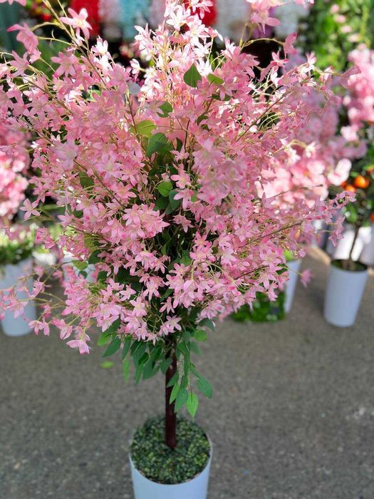 Декоративная дерево на горшке