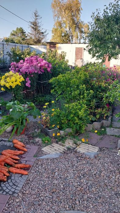 Продам дачу на Пёстром