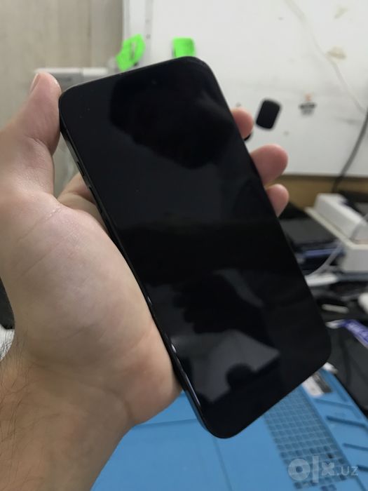 15 promax icloud