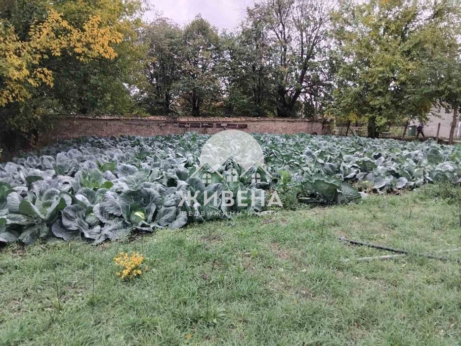 Продава къща с голям двор 2500 кв.м, с.Царевци