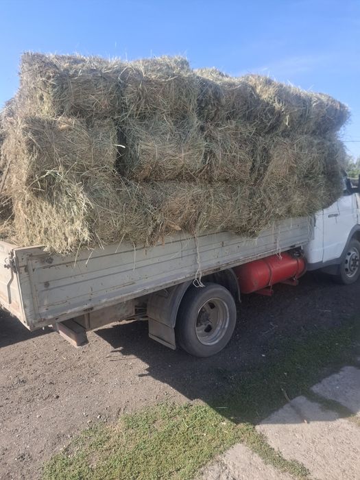 Сено в тюках разнотравие