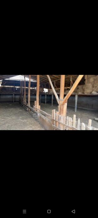 СРОЧНО ФЕРМА сотилади Рохат постидан 25км