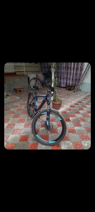 Velosapet nomi: Bonvi