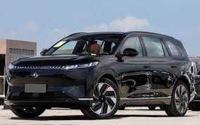 Dongfeng 008 Max pod zakaz