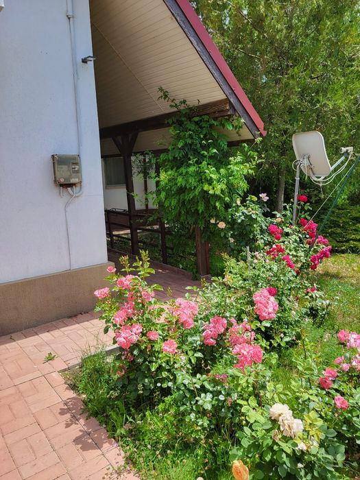 Çasă/ vilă de vânzare