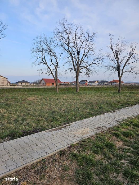 Teren 21600 mp in apropiere de Autostrada Transulvania