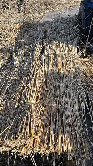 Камыс камыш маты