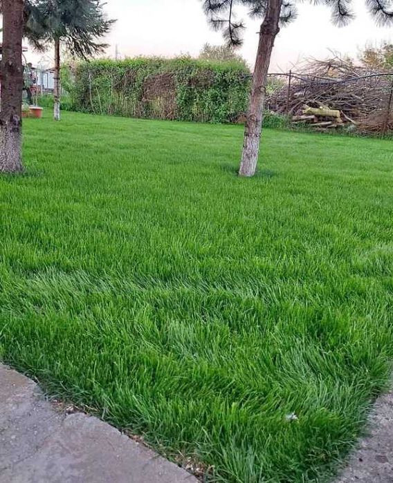 Gazon Rulouri Sisteme de Irigatie