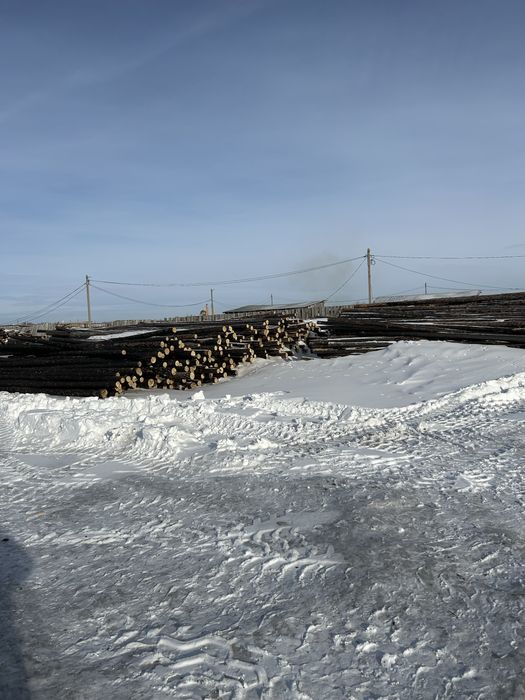 Продаётся подтоварник