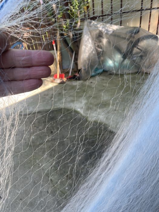 Plase de pescuit de cea mai buna calitate