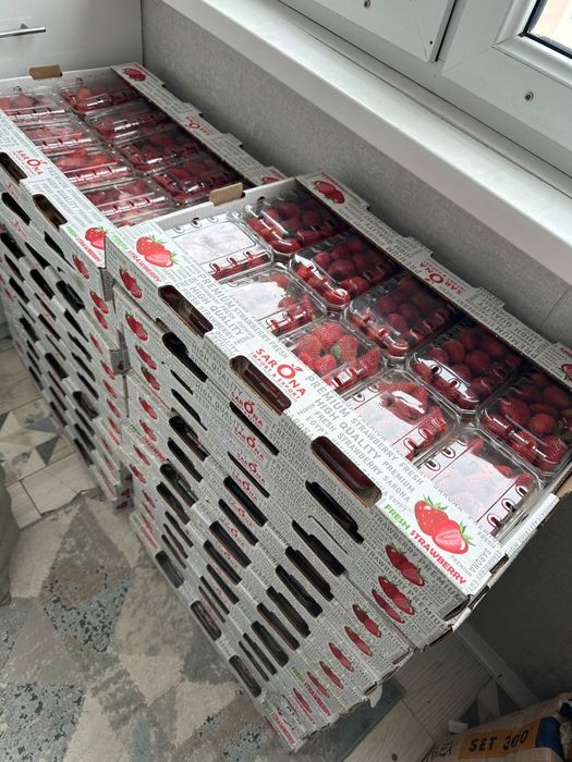 Клубника свежая отборная