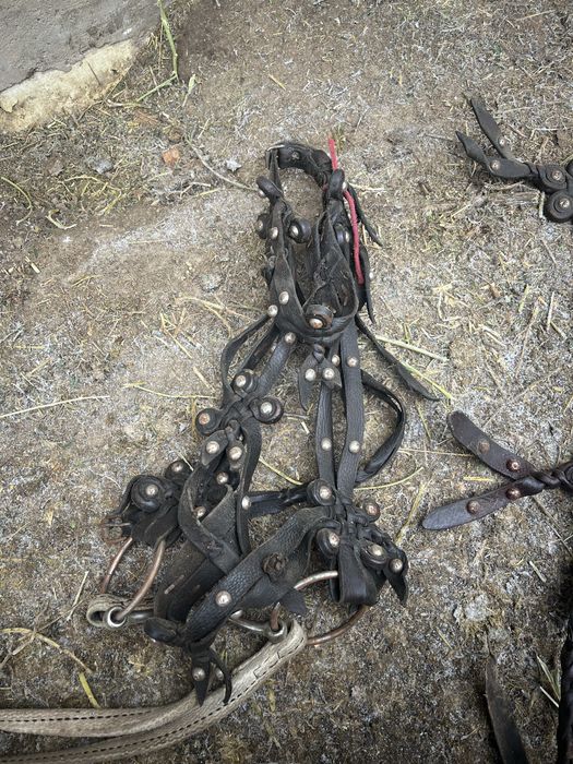 Продам комплект для лошади