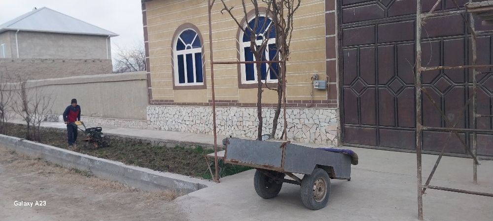 Навбахор янги кургонда ховли