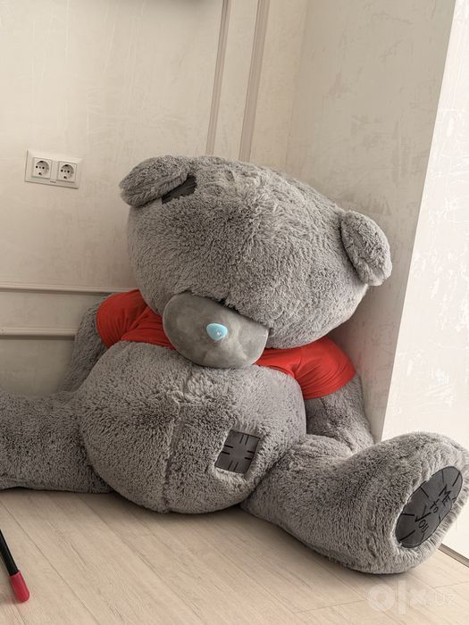 Ayiq teddy kotta