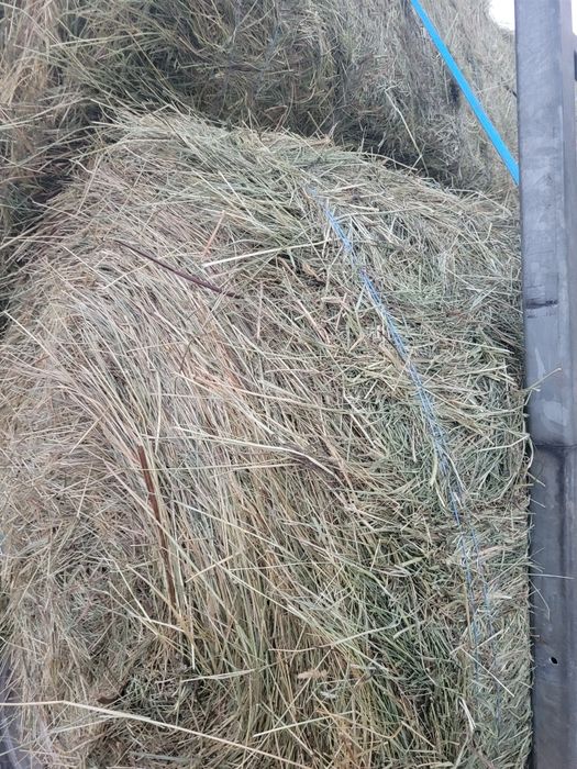 Vând fan de calitate! Am transport!