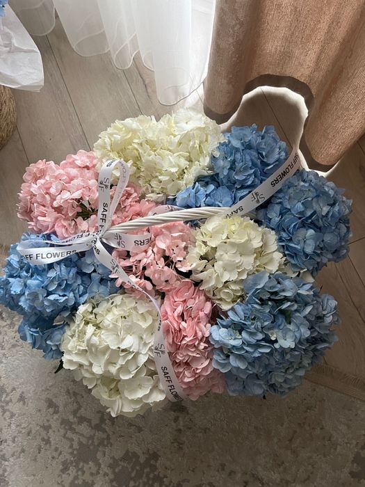 нежные гортензии