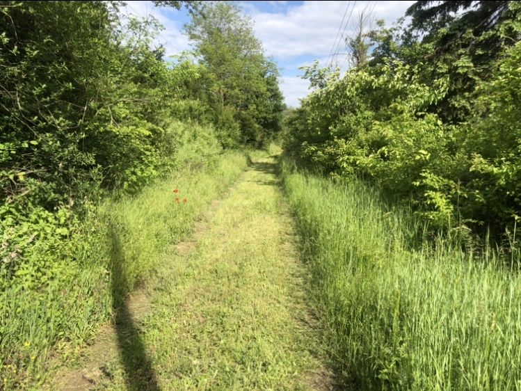 Къща с двор на 40 км от София, до Драгоман