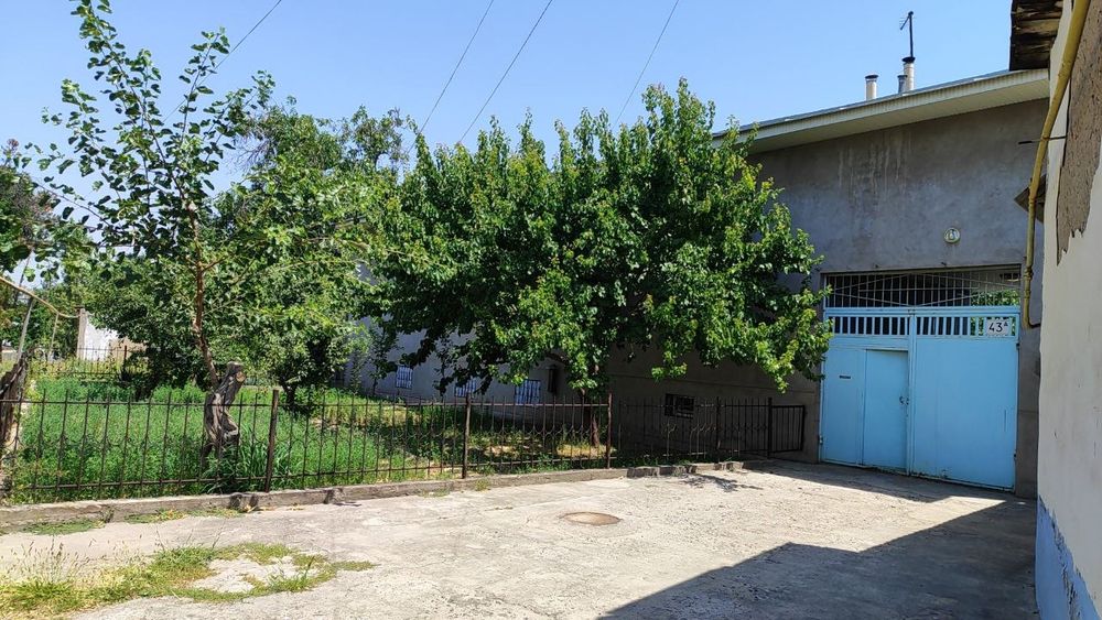Йу́лни юзи 8 соту(5+3захват) под бизнес