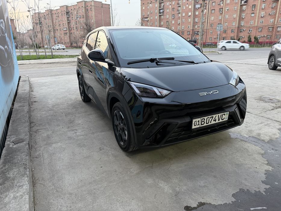 Byd Segull 405km 2025 reystaling