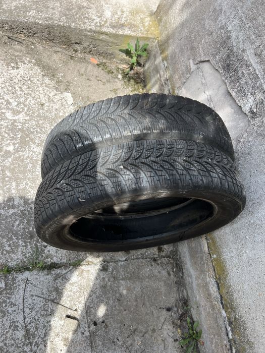 Bridgestone Blizzak LM-500 XL 155/70 R19 88Q