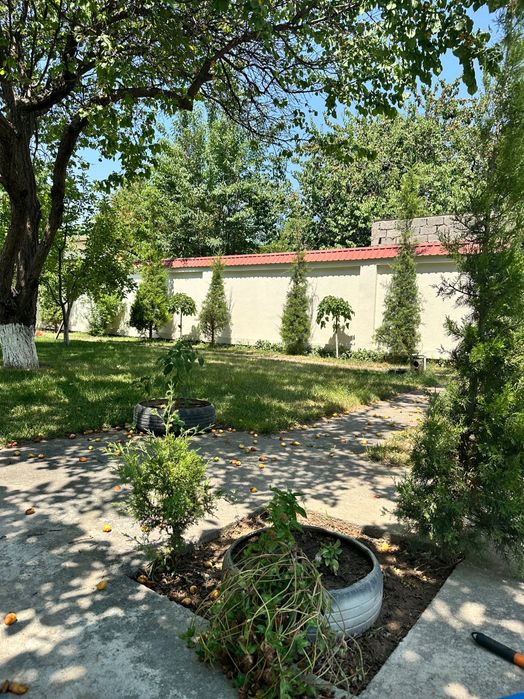 дача сотилади срочно