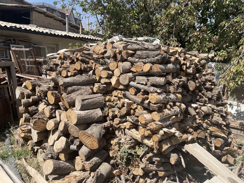 Утин сотилади !!! 10 куб