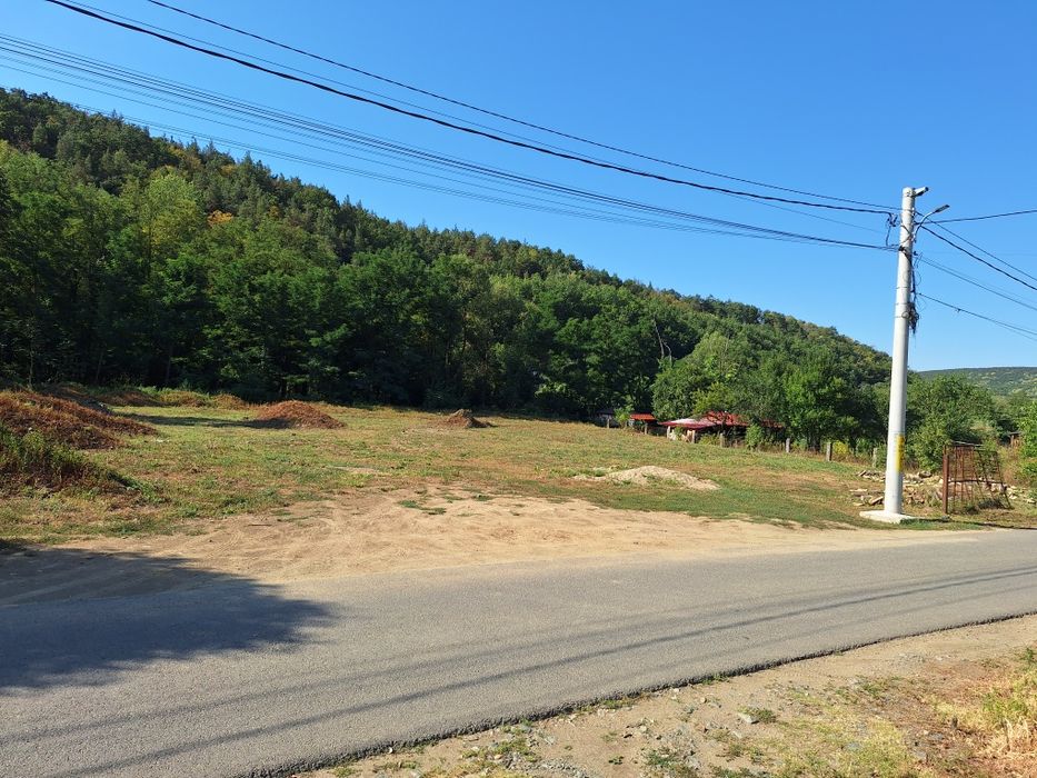 Teren intravilan, 2.174 mp., în localitatea Cladova, comuna Păuliș,  județul Arad.