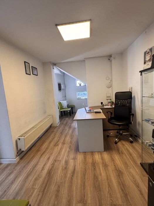 Vila P+2 pretabil birouri