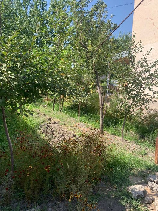 Недвижимость /Дом