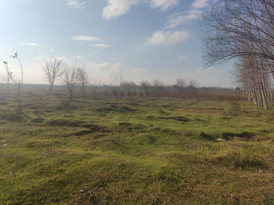 Hokim qarori bor 25soʻtix