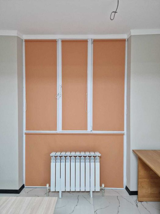 Жалюзи Ролл шторы День-Ночь