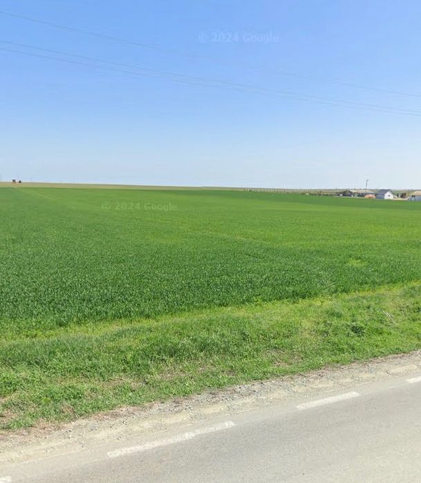 Teren intravilan (22.500 mp) Mihail Kogalniceanu de vânzare